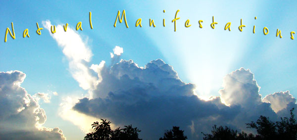 Want to Have Manifestations Happen More Easily in Your Life?